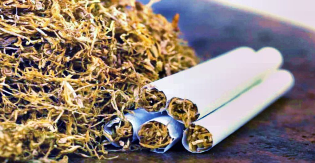 Завораживающая куча деликатно измельченных табачных листьев